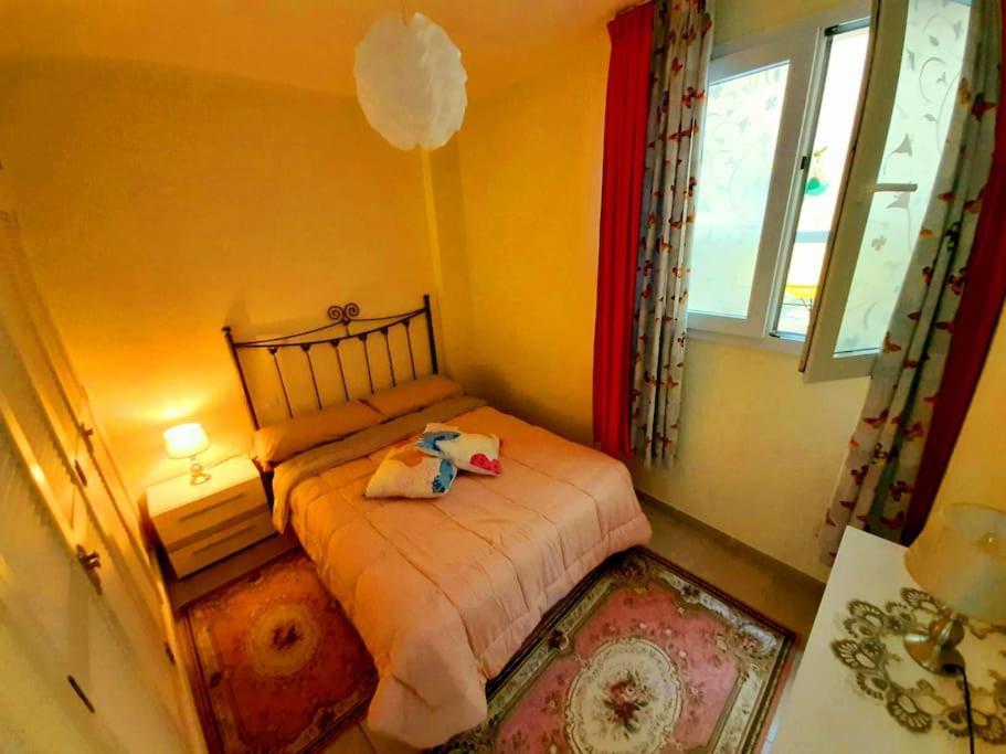 Appartement Ocean Orchidea à Puerto de la Cruz  Extérieur photo